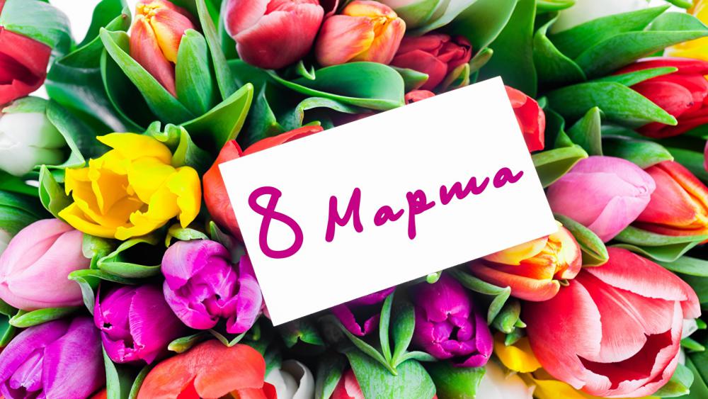 March_8_Tulips_Russian_516412_1600x900.jpg